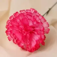 Цветы искусственные "Гвоздика" 37 см, розовый