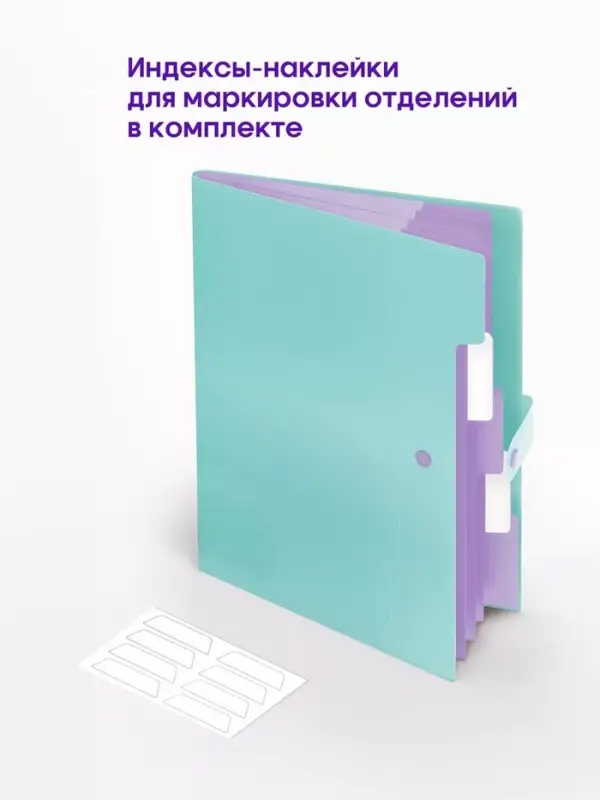Папка А4, 5 отделений, Calligrata, 600 мкм, на кнопке, зеленая, матовая