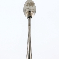 Ложка именная на открытке "Анна", 3 х 14 см