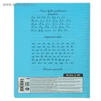 Тетрадь 12 листов в косую линию, обложка мелованный картон, МИКС