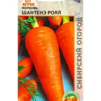 Семена Морковь "Шантенэ Роял" 1 г