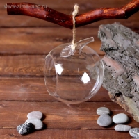 Флорариум "Натурель" яблоко, с веревкой, d-5,5 см 11х9 см