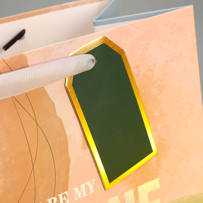 Пакет подарочный ламинированный, упаковка, &laquo;Солнце моё&raquo;, 25.4 х 30.5 х 12.7 см