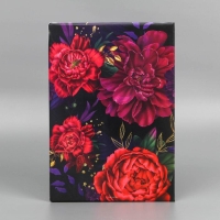 Папка для документов &laquo;Docs&raquo;, 8 файлов А4