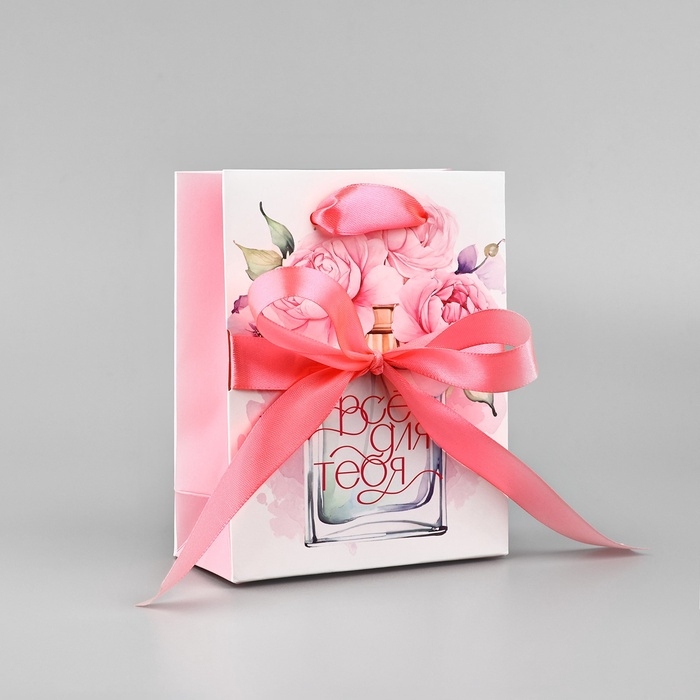 Пакет ламинированный с лентой &laquo;Всё для тебя&raquo;, S 12 &times; 5,5 &times; 15 см