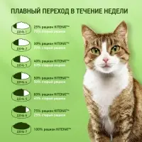 Влажный корм Kitekat для кошек, курица в соусе, пауч 85 г