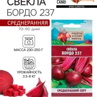 Семена Свёкла "Бордо 237", 2 г