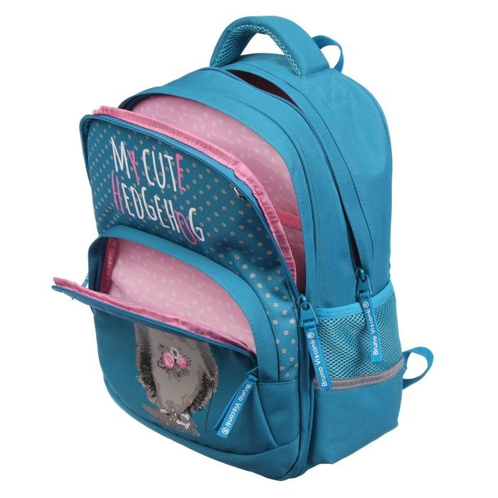 Рюкзак школьный Bruno Visconti "Ёжик", 40 х 30 х 19 см, эргономичная спинка, пенал в подарок