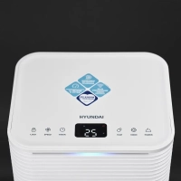 Электрический осушитель H-DH10-P81WF