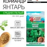 Семена Кориандр "Янтарь", 5 г
