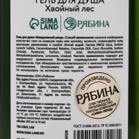 Ural Lab Winter Melody Гель для душа, 300 мл, Bright Christmas night, хвойный лес