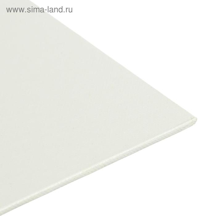 Холст на картоне 25 х 30 см, хлопок 100%, акриловый грунт, мелкозернистый, "Студия"