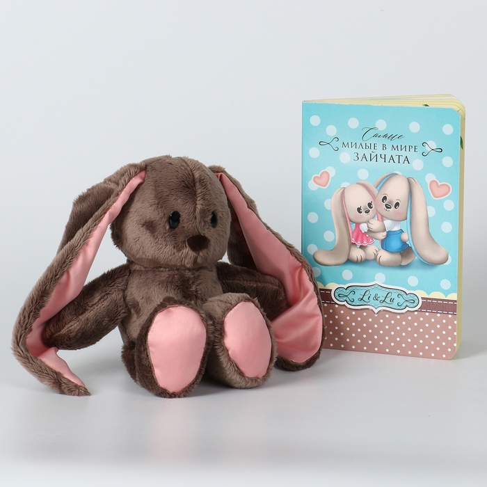 Мягкая игрушка &laquo;Зайка Li&raquo;, с книгой, девочка, заяц, 25 см