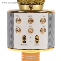 Микрофон для караоке Luazon LZZ-56, WS-858, 1800 мАч, жёлтый