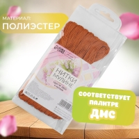 Набор ниток мулине №909, 8 &plusmn; 1 м, 6 шт, цвет светло-коричневый