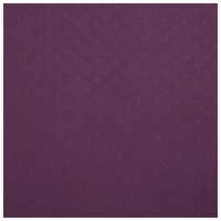 Коврик для йоги Sangh, 183&times;61&times;0,8 см, цвет фиолетовый