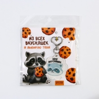 Брелок для ключей акриловый &laquo;Енот&raquo;, 5 х 4,9 см