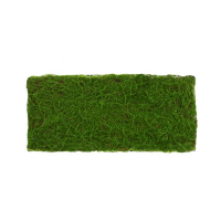 Декоративная панель, 90 &times; 40 см, &laquo;Мох&raquo;, Greengo