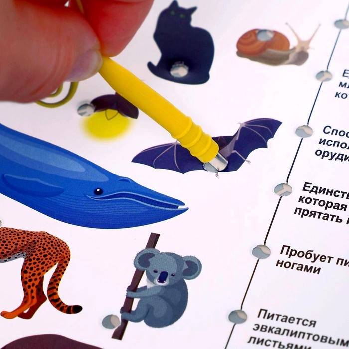 Электровикторина &laquo;Размышляй-ка&raquo;