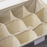 Органайзер для хранения белья Доляна &laquo;Тео&raquo;, 12 ячеек, с прозрачной крышкой, 32&times;23&times;12 см, цвет серый