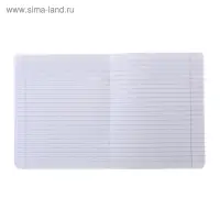 Тетрадь 24 листа в линейку &laquo;Великолепная пятёрка&raquo;, бумажная обложка, МИКС