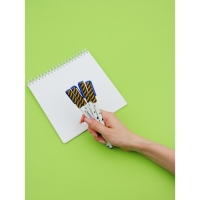 Набор пластиковых ручек "Лучший выпускник школы", синяя паста 0.7 мм, 4 шт