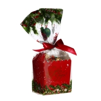 Новый год. Конфеты глазированные "Территория волшебства", МИКС, 170 г