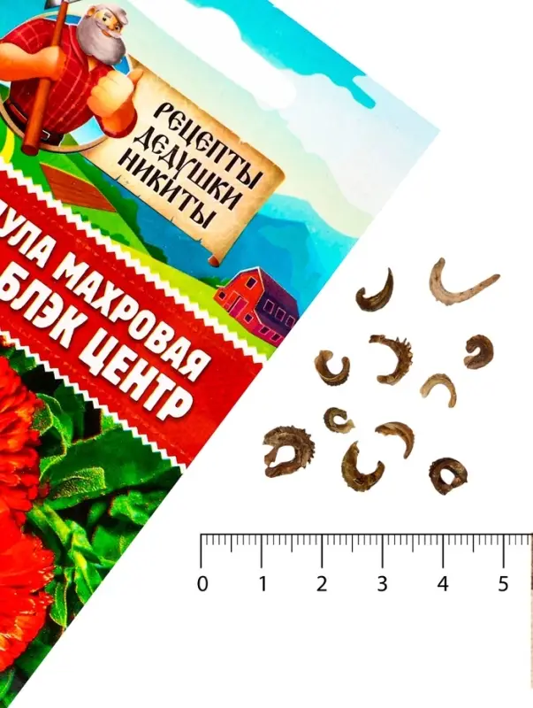 Семена цветов Календула махровая "Ред виз блэк центр", 0,3 г