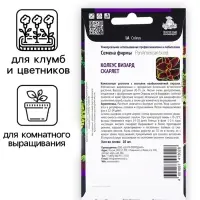 Семена цветов Колеус Визард Скарлет, 10шт