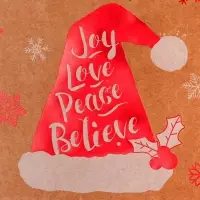 Пакет крафт с тиснением, круглая ручка, &laquo;Колпак&raquo; 21&times;27&times;11 см, 120 г