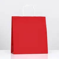 Пакет крафт &laquo;Радуга&raquo;, гранатовый, 26х12х33 см, 80 г/м&sup2;, 1 шт.