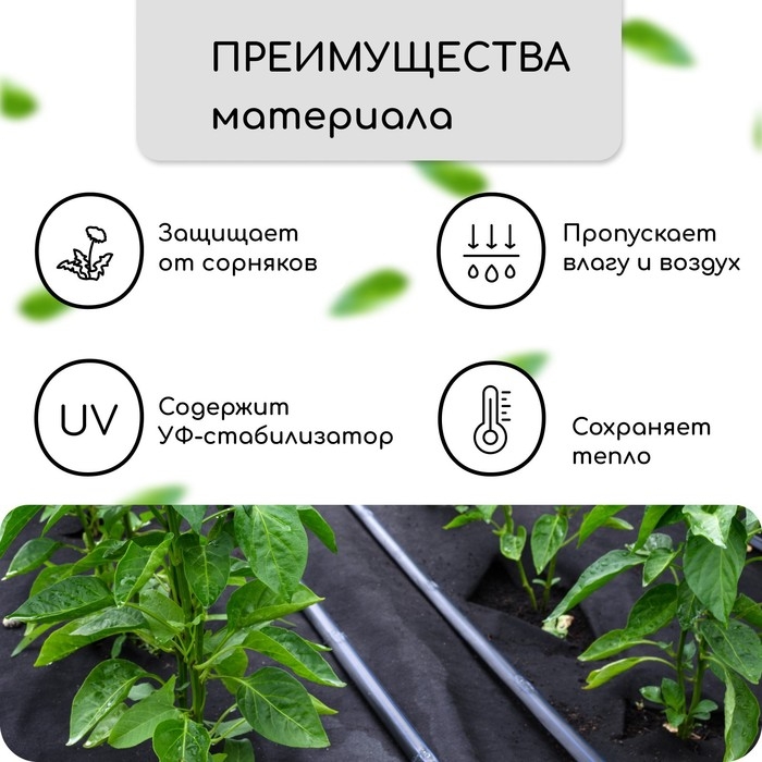 Материал мульчирующий, с перфорацией, 10 &times; 0,8 м, плотность 80 г/м&sup2;, спанбонд с УФ-стабилизатором, чёрный, Greengo, Эконом 30%