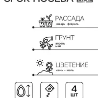 Семена комнатных цветов Бегония "Гоу-гоу", ц/п,  розовая, F1, 4 шт.