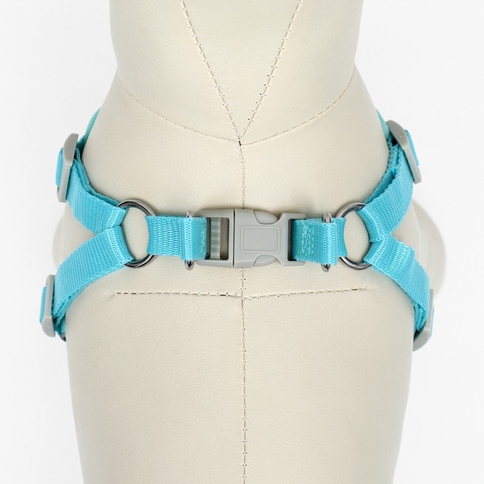 Комплект с мягкой шлейкой, быстросъемный, M, поводок 140 см, ОШ 44-48 см, ОГ 51-60 см, бирюзовый