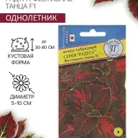 Семена цветов Колеус "Радуга" Фестиваль танца F1, О, 10 шт