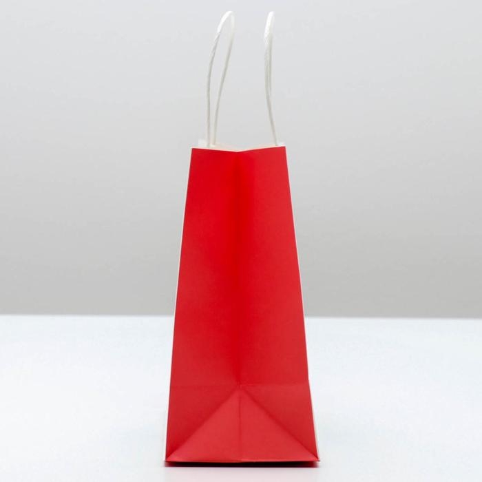 Пакет подарочный новогодний &laquo;Потом передаришь&raquo;, 22 х 22 х 11 см, Новый год