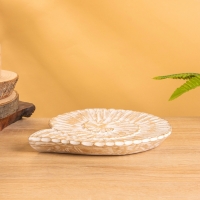 Набор сувенирный &laquo;Ракушки&raquo;, 28 см, 23 см, 18 см, дерево, бежевый