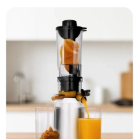 Шнековая соковыжималка КТ-1164 - 250 Вт