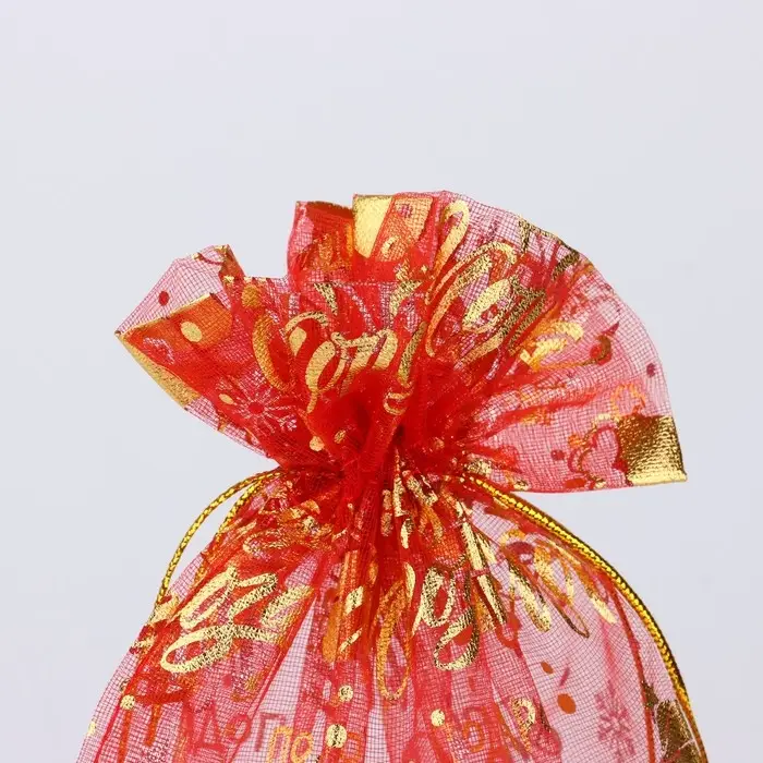 Мешочек подарочный &laquo;Подарок Деда Мороза&raquo;, органза, красный, 20 х 30 см