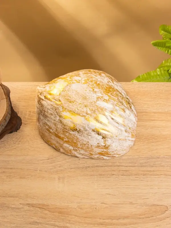 Чаша из кокоса, 18&times;18&times;10 см, бежево-золотая