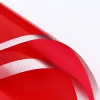 Пленка для цветов, &laquo;Серебряный кант&raquo;, красный, 57&times;57&plusmn;1 см