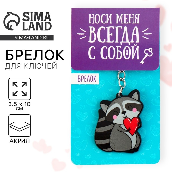 Брелок для ключей акриловый &laquo;Енот&raquo;, 3,5 х 10 см