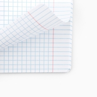 Тетрадь в клетку, 48 листов А5 на скрепке МИКС, &laquo;1 сентября: Шрифтовые черные&raquo;, обложка мелованный картон 230 грблок №1  белизна 96%