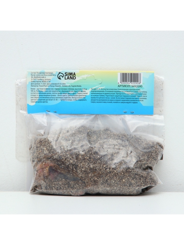 Лилия Турецкая шапочная "Spec.Var. Rubrum Uchida", р-р 12/14, 2 шт.