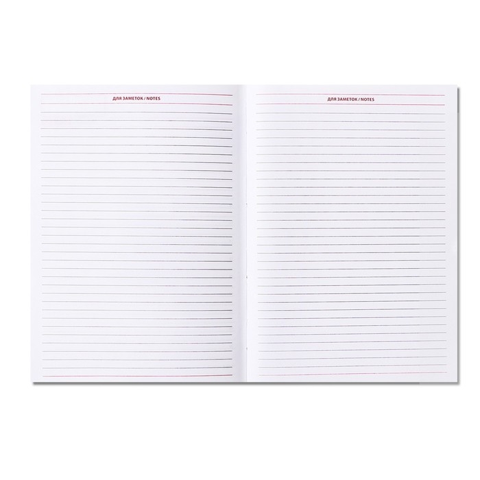 Ежедневник недатированный А5, 160 листов "Небраска", перфорация углов, красный