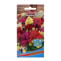 Семена Цветов Тысячелистник "Вспышки осени", 0,1 г,