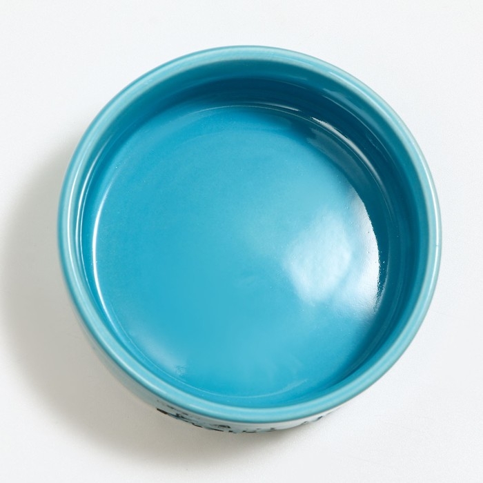 Миска керамическая с объемным рисунком "Food" 200мл, 10 х 4,5 см, голубая