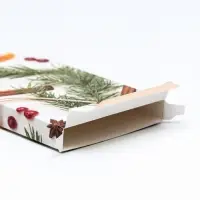 Коробка для шоколада без окна &laquo;Мандарины&raquo;, 17.1&times;8&times;1.4 см