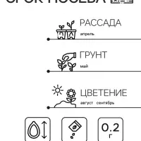 Семена Астра Шамбор пионовидная   Одн Ц/П 0,2г