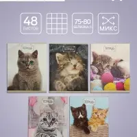 Тетрадь 48 листов в клетку Calligrata &laquo;Милые котята&raquo;, обложка мелованный картон, блок №2, белизна 75% (серые листы), МИКС